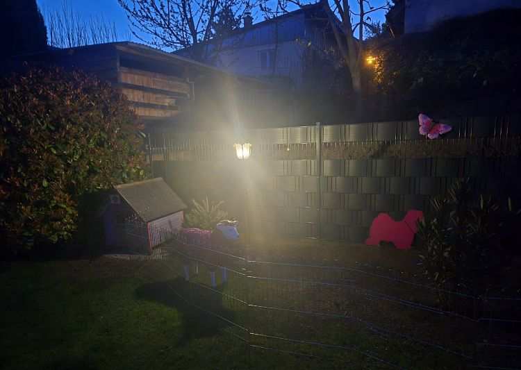 20250404_061826.jpg