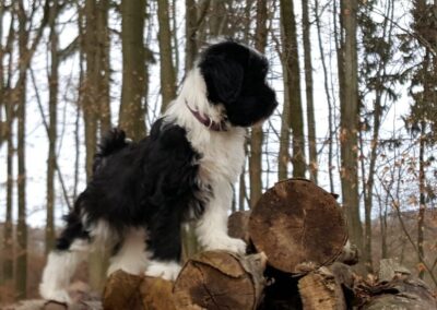 Startseite neu