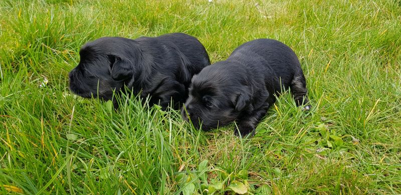 3. Woche