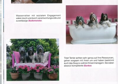Gallery Item 1