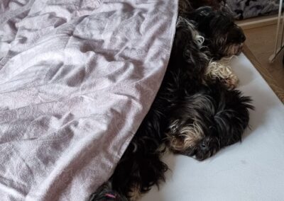 Gallery Item 1
