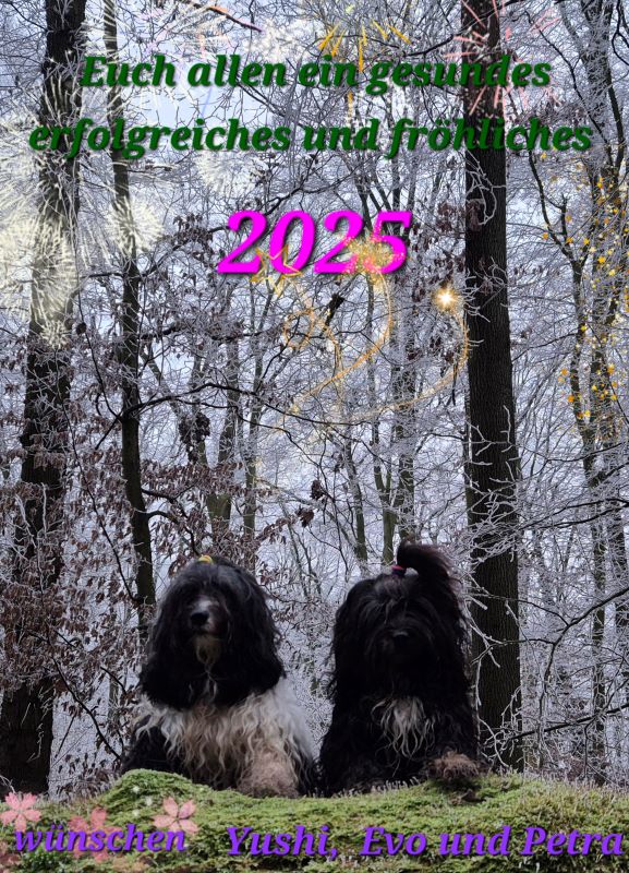 2025