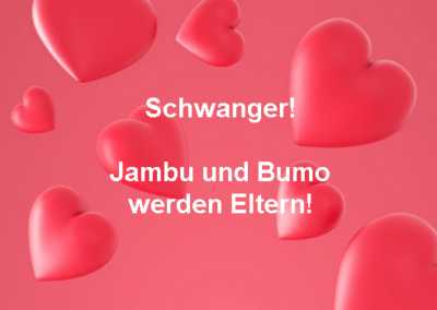 C-Wurf - Geburtsvorbereitung (12)