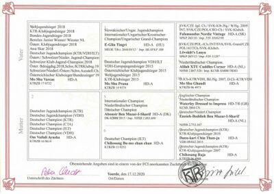 Welpen - D-Wurf (7)