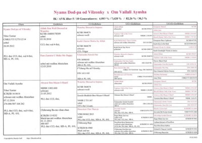 E-Wurf - Geburtsvorbereitung (21)
