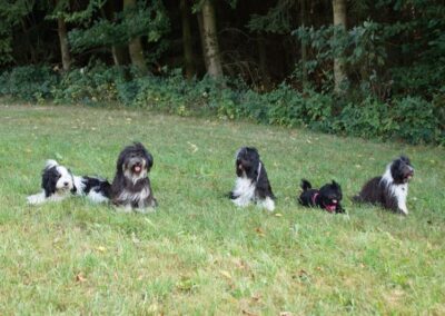 Welpen-Treffen vom 11.08.2018 (34)