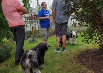 Welpentreffen 10.08.2019
