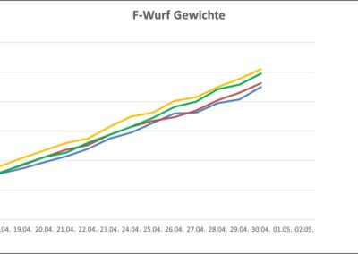 F-Wurf, 2. Woche, Om Vailali