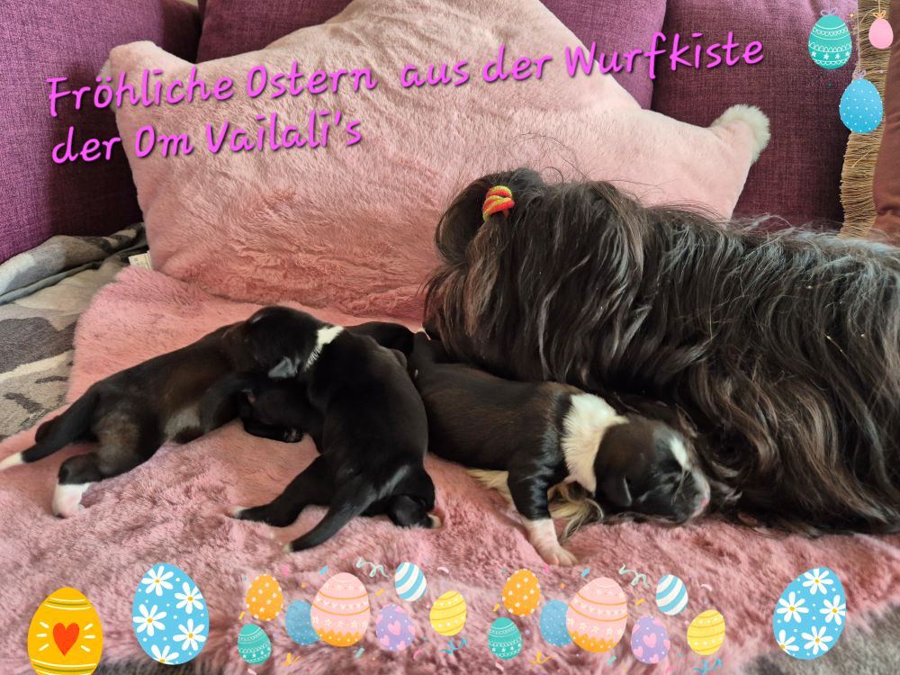 1. Woche