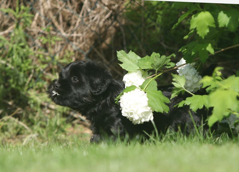 8. Woche