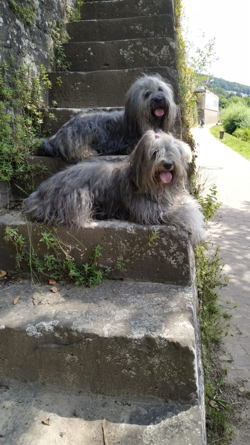 2. August 2019 - B-Wurf treffen