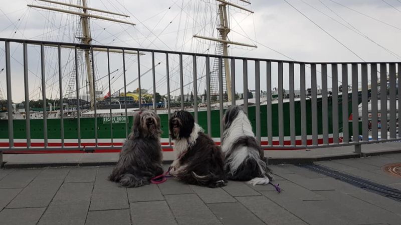 2019