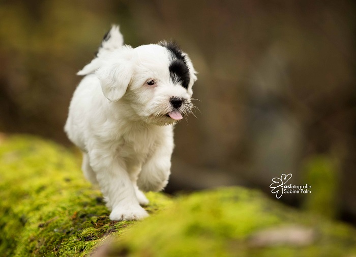 D7