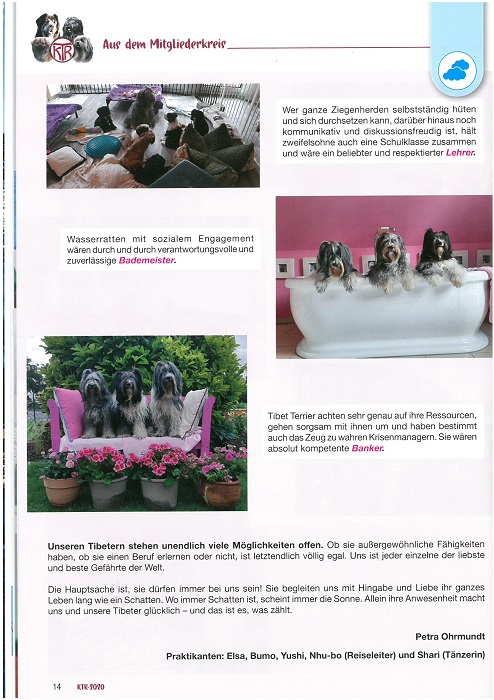 Gallery Item 1