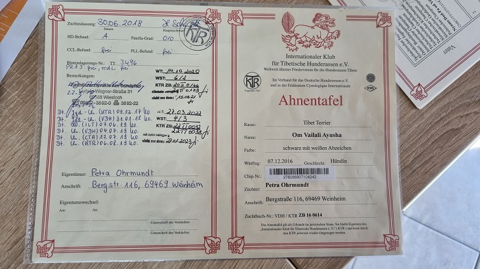 9. Woche