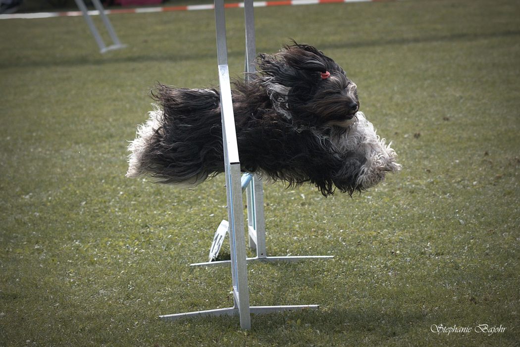 Agility