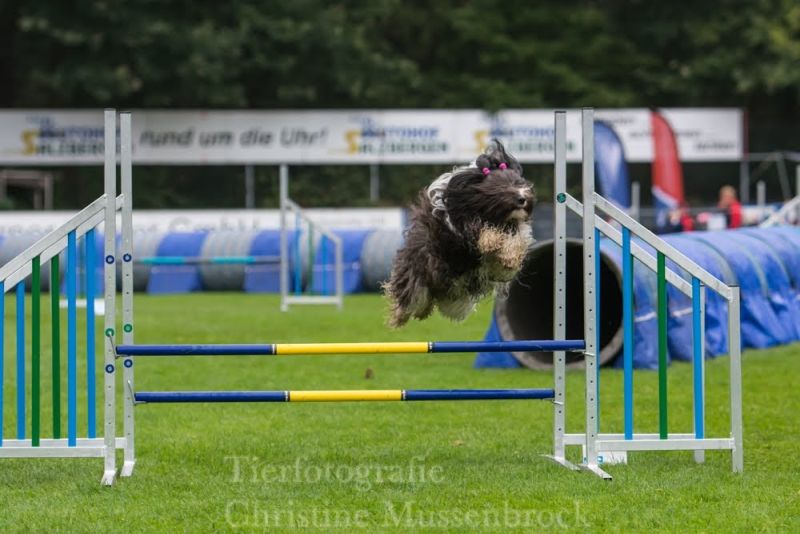 Agility