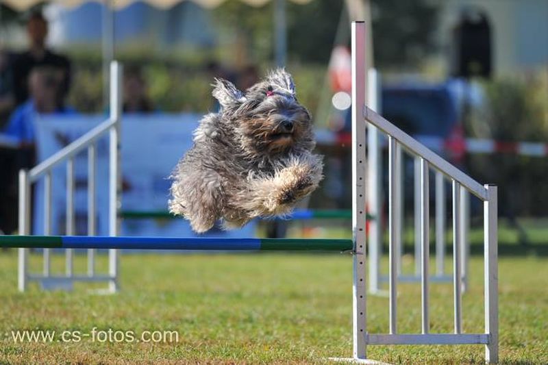 Agility