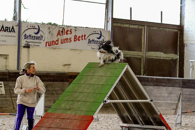 Agility
