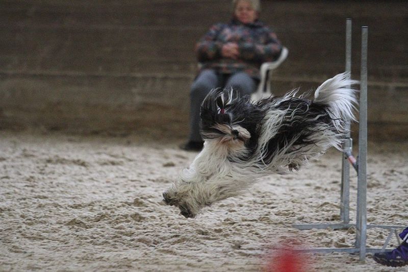 Agility