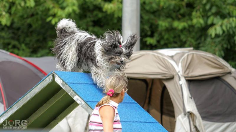 Agility
