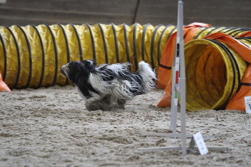 Agility