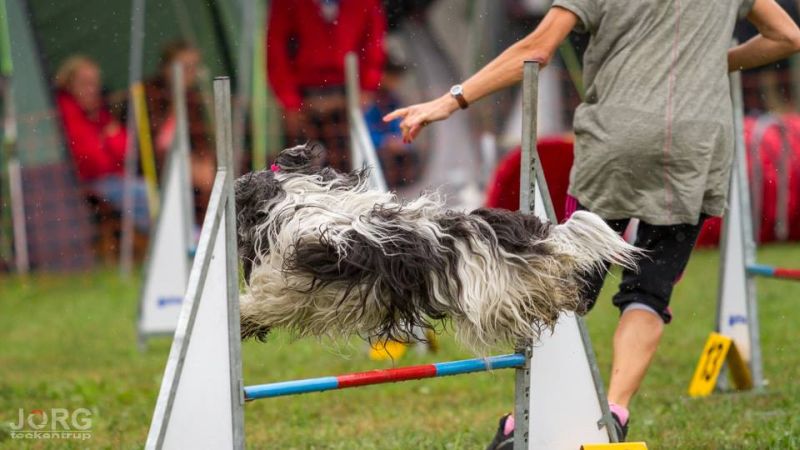 Agility