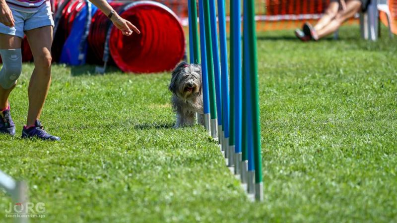 Agility