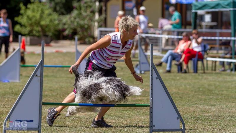 Agility