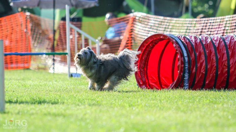 Agility