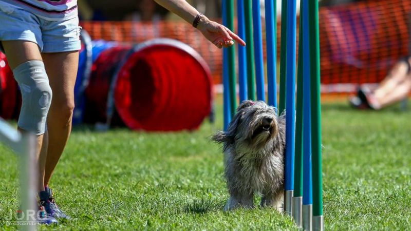 Agility