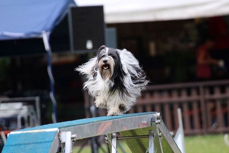 Agility