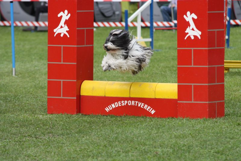 Agility