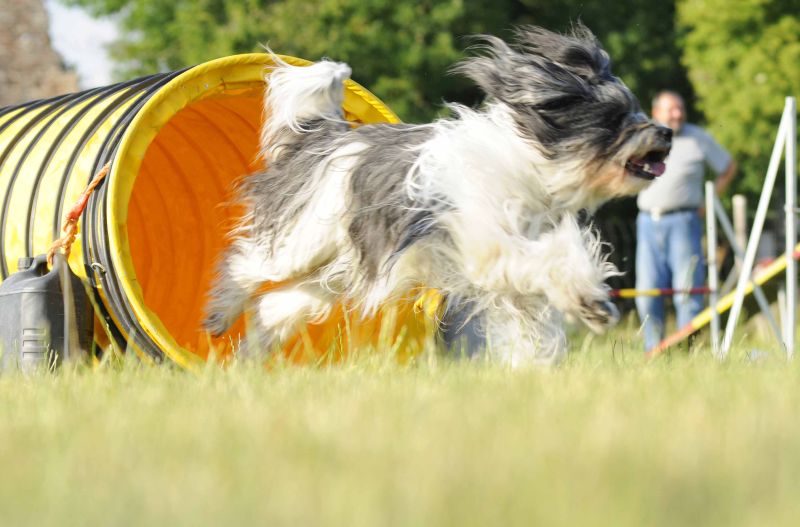 Agility