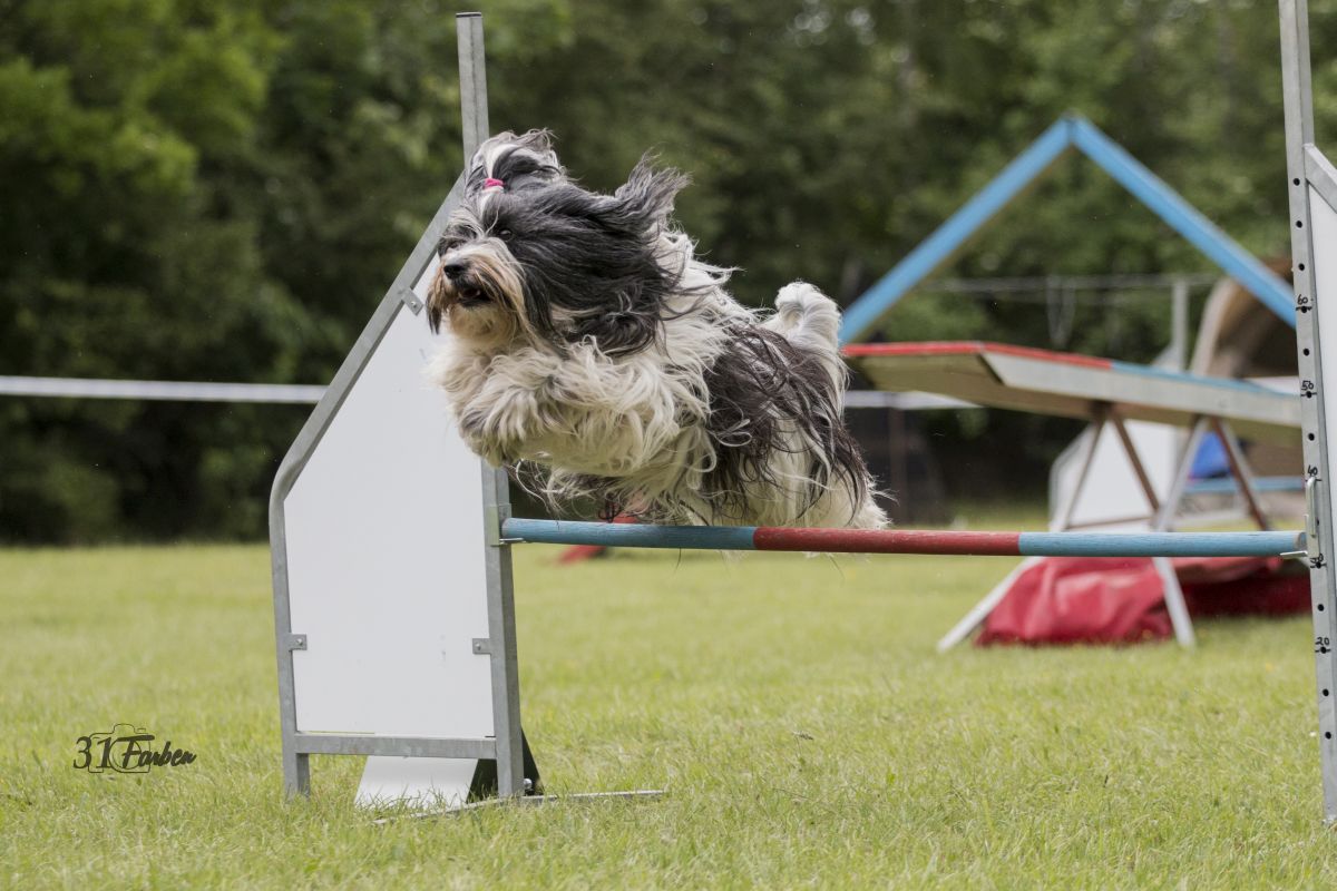 Agility