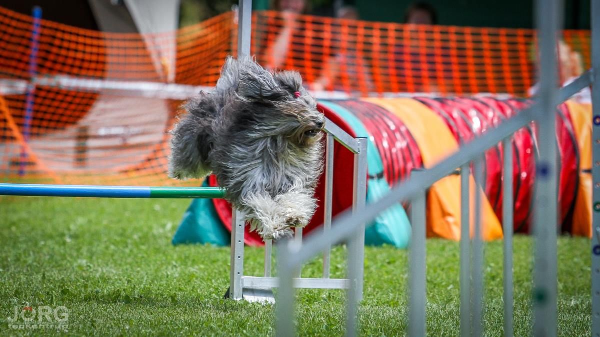 Agility