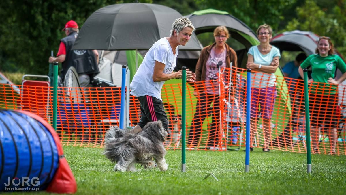 Agility