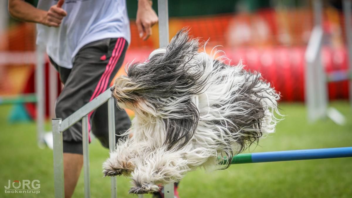 Agility