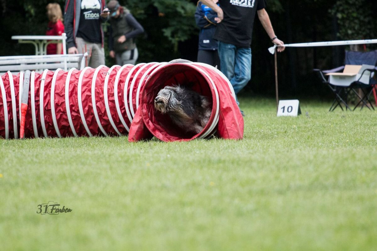Agility