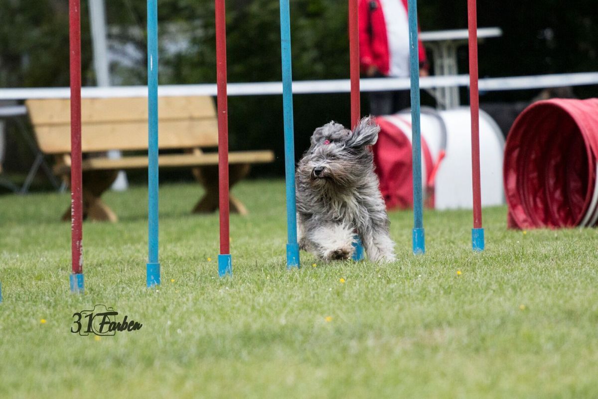 Agility