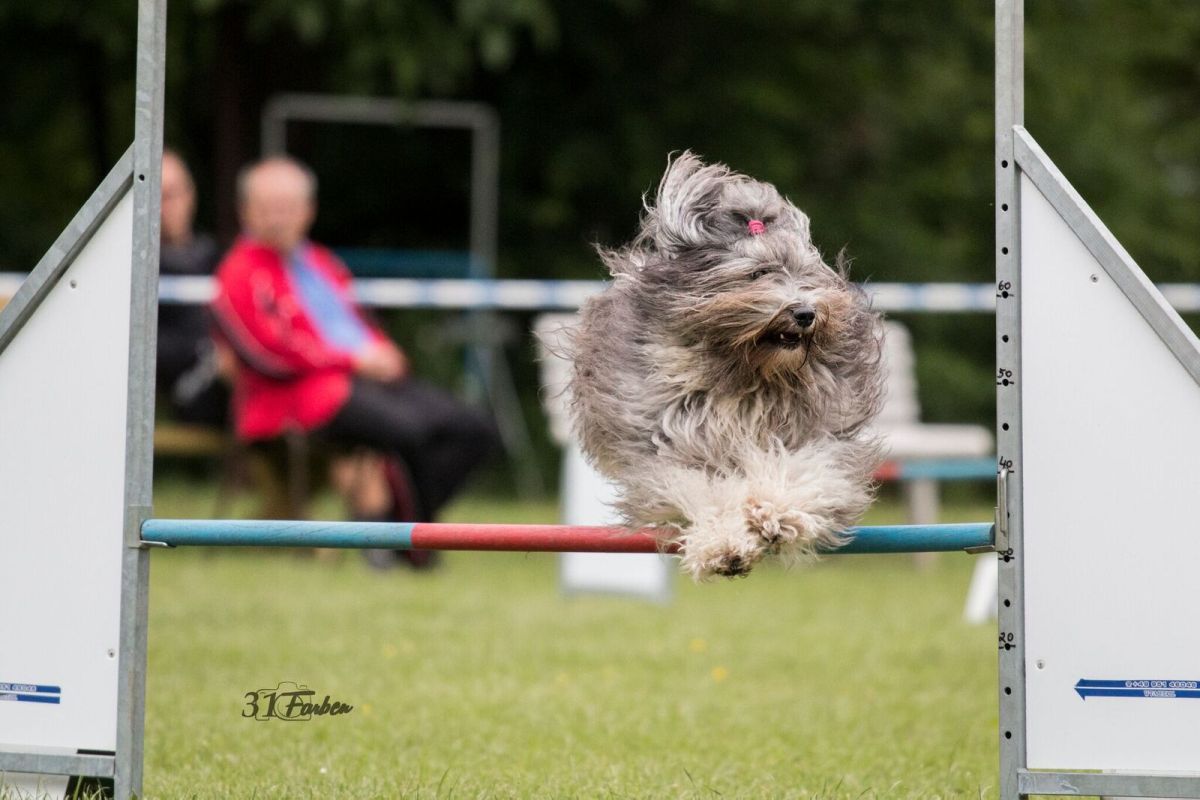 Agility