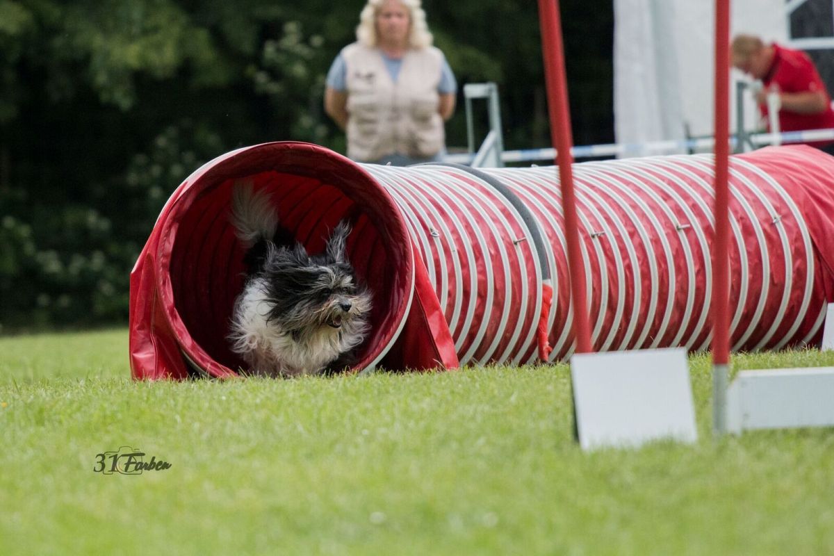 Agility