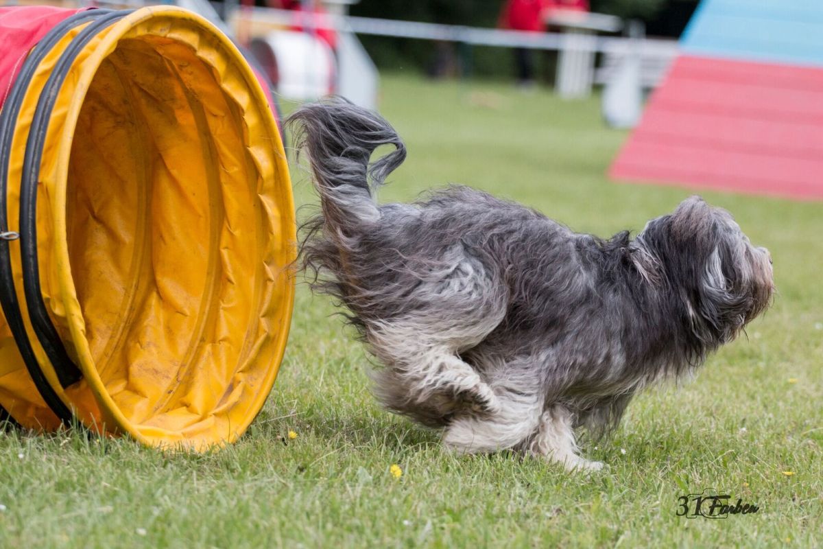 Agility