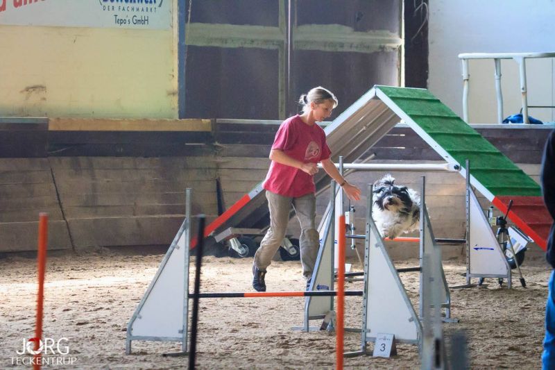 Agility