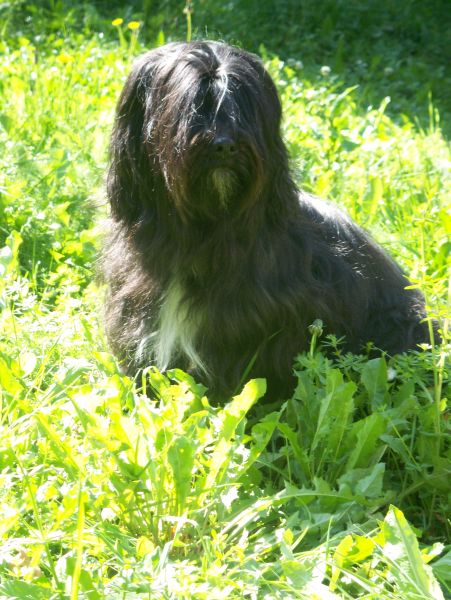 Murphy