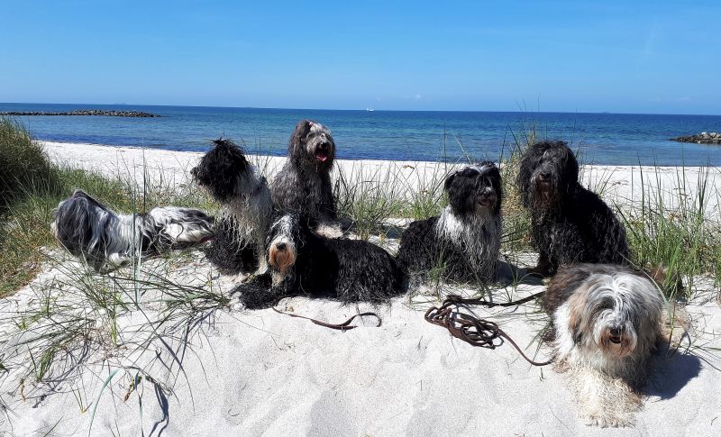 ostsee1.jpg