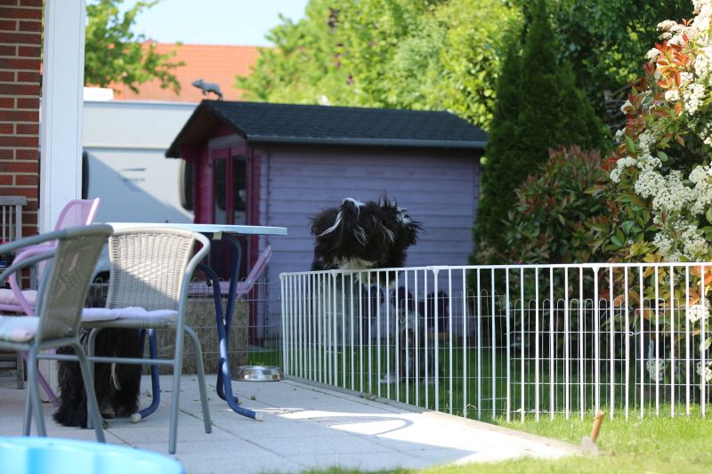 b-wurf-7.-woche-004.jpg