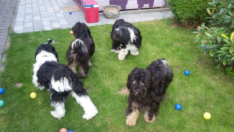 A-Wurf-Treffen 
