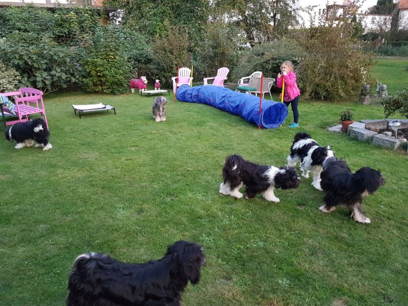 A-Wurf-Treffen 
