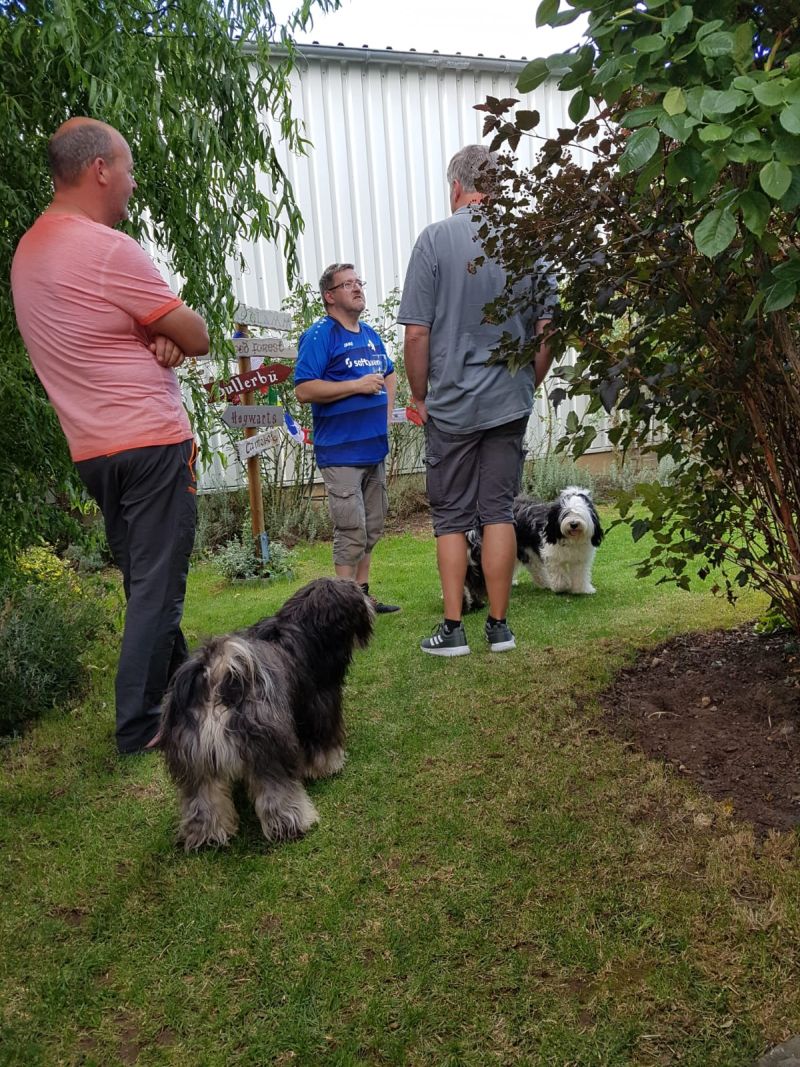 Welpentreffen 10.08.2019